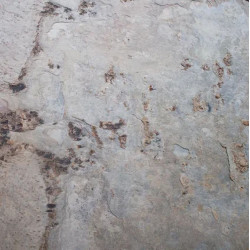 Каменный Шпон Autumn Cream